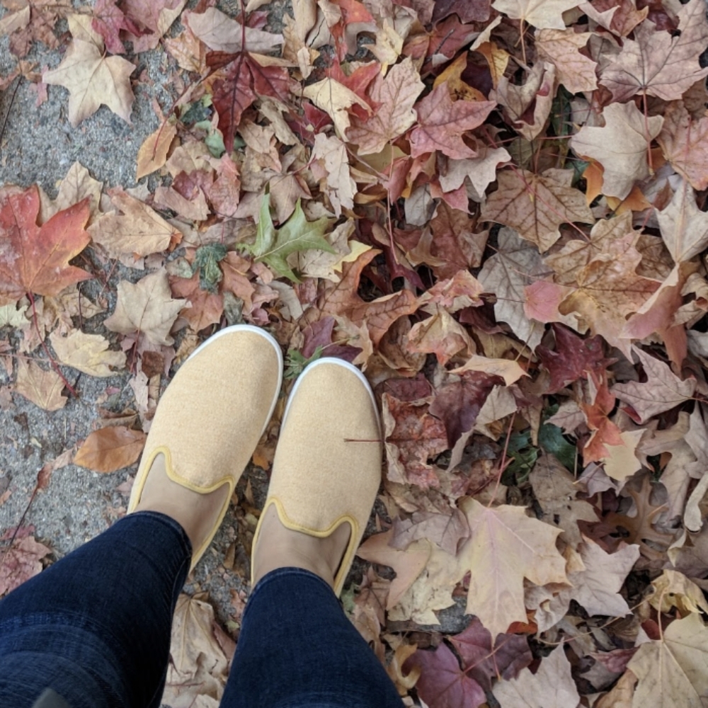 Allbirds Loungers WOOL